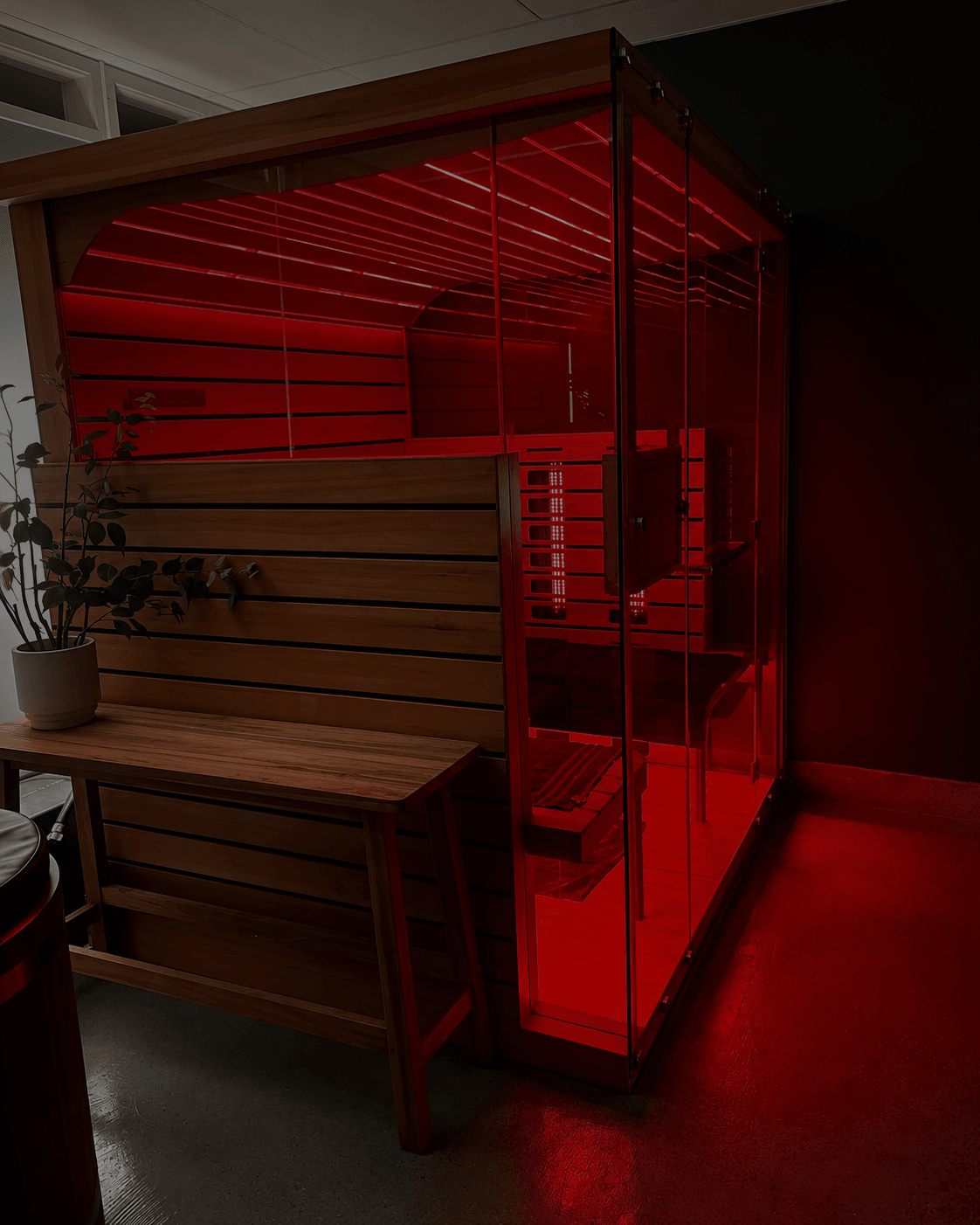 The infrared sauna at Revive Hub